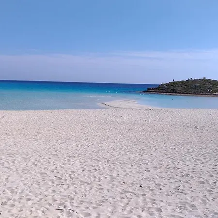 Luxury Apartment Ayia Napa Center Daire